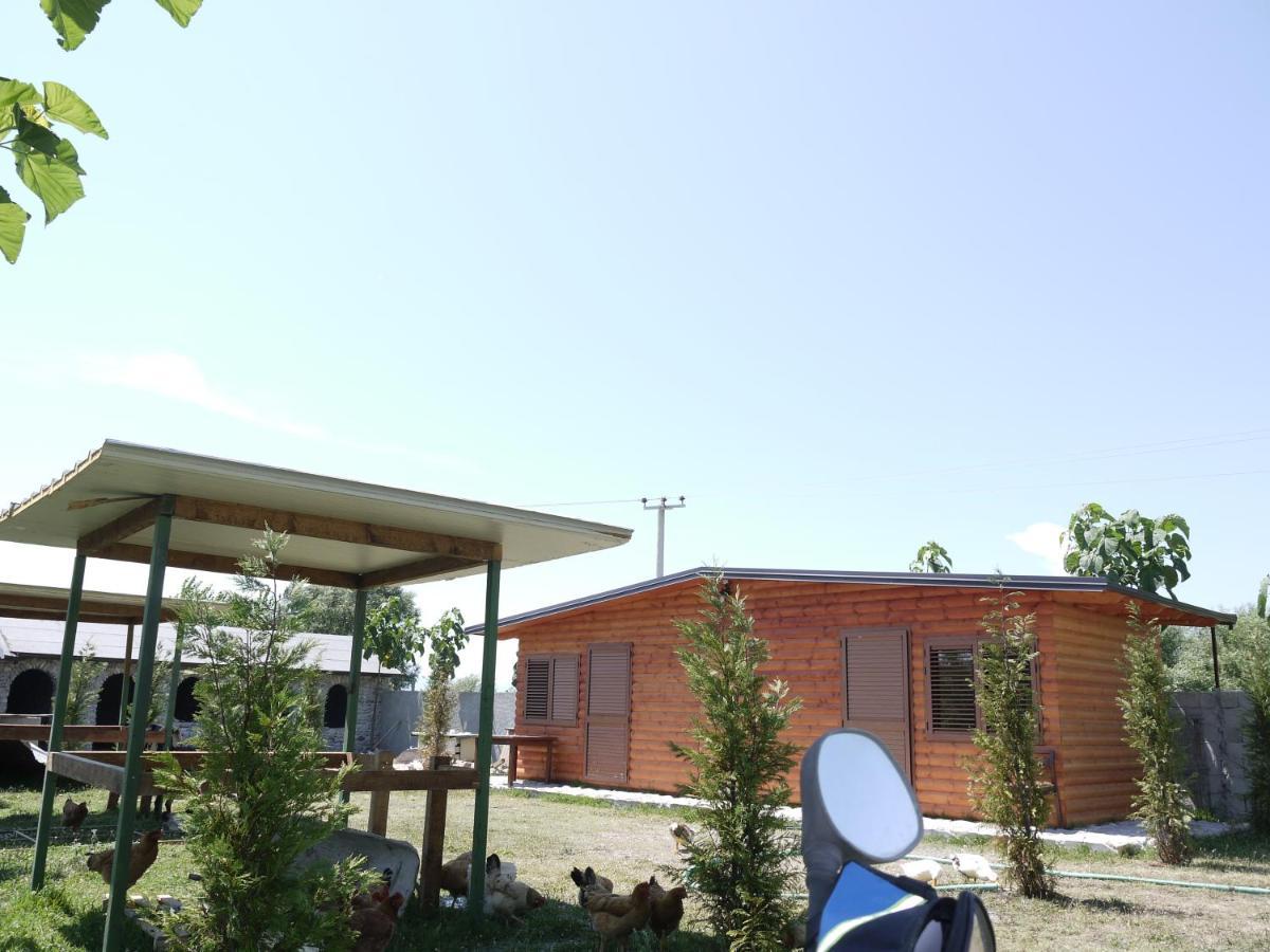 Windmill Shkodra Gesthouse Camping & Grill Экстерьер фото